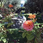Sofia 4* Πάρος