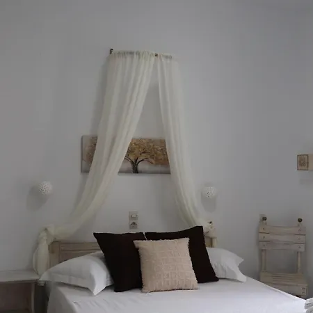 Guest house Pension Sofia 3*
