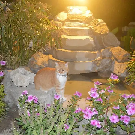 بيت ضيافة Sofia