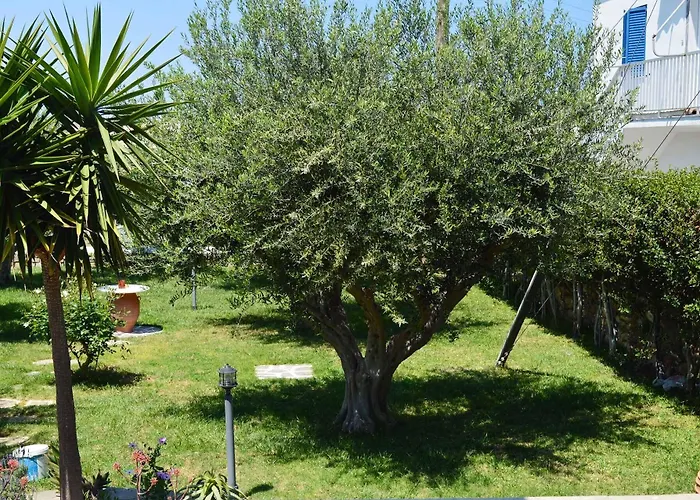 Pensjonat Sofia Páros