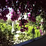 Sofia 4* Páros