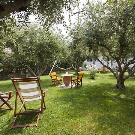 Pension Sofia Guest house