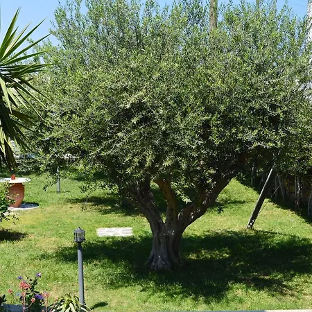 Guest house Pension Sofia Parikia (Paros)