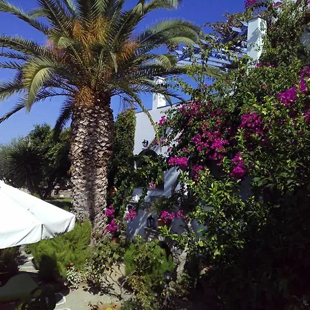 Pension Sofia Guest house