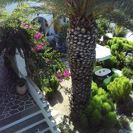 Pension Sofia Guest house