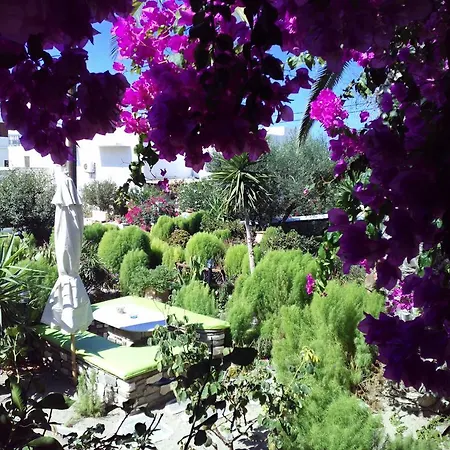 Pension Sofia Guest house