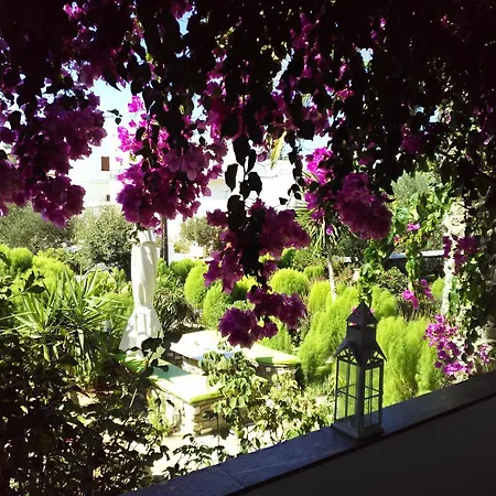 Pension Sofia 4* Parikia (Paros)