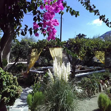 Pension Sofia Guest house Parikia (Paros)