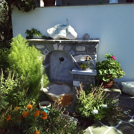 Pension Sofia Guest house 4*