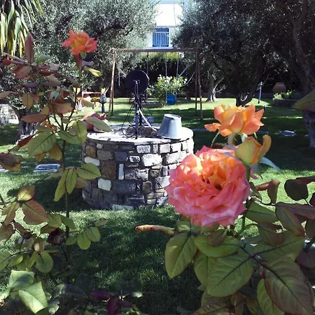 Pension Sofia 4* Parikia (Paros)